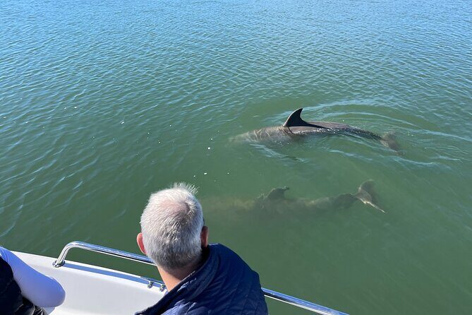 Private Dolphin, Lighthouse and Shelling Adventure (Folly Beach) - A Deep Dive into the Experience