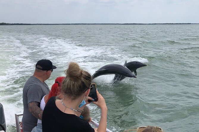 Private Dolphin, Shelling and Birding Tour - FAQs