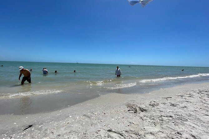 Private Dolphin & Sightseeing Boat Day Tour - The Itinerary: A Closer Look