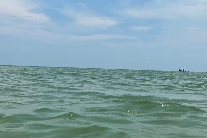 Private Dolphin & Sightseeing Boat Day Tour - FAQs