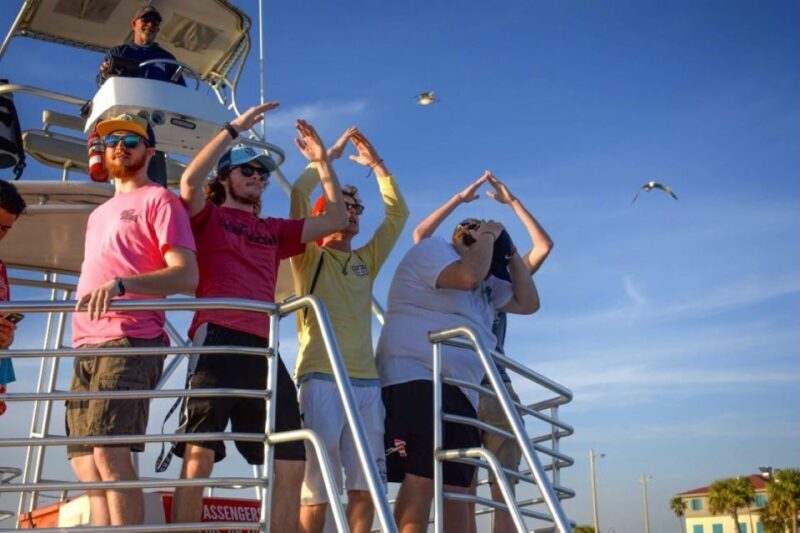 Private Dolphin Tour with Secluded Beach/Snorkel Stop - FAQ