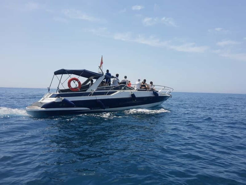 PRIVATE DOLPHIN WATCHING SUNSEEKER WITH DRINKS ON FUENGIROLA - Key Points