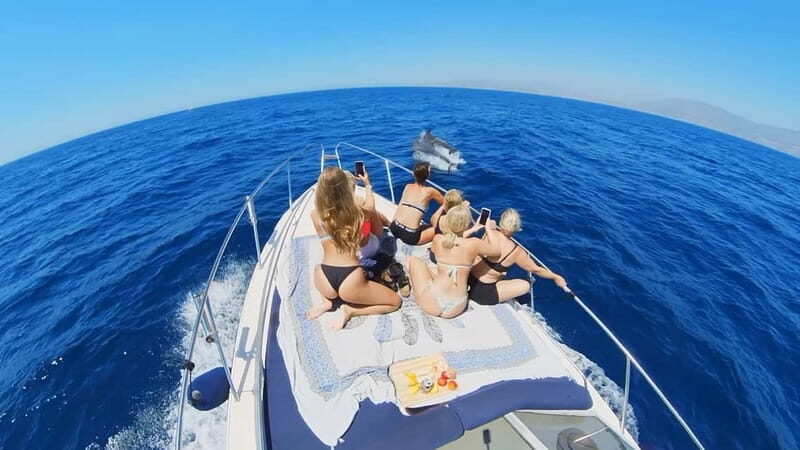 PRIVATE DOLPHIN WATCHING SUNSEEKER WITH DRINKS ON FUENGIROLA - What Could Be Better?