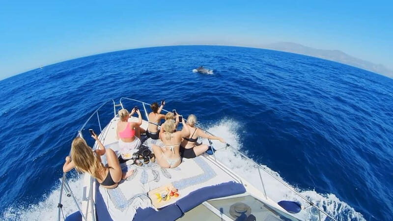 PRIVATE DOLPHIN WATCHING SUNSEEKER WITH DRINKS ON FUENGIROLA - Who Is This Tour Best For?