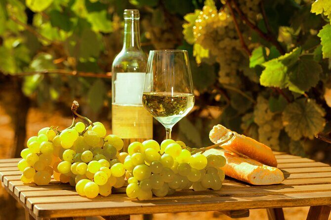 Private Double Wine Tasting Tour in Frascati - Exclusive - Why Choose This Tour?