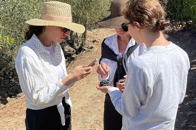 Private Douro 4x4 Adventure from Porto - Who Would Love This Tour?