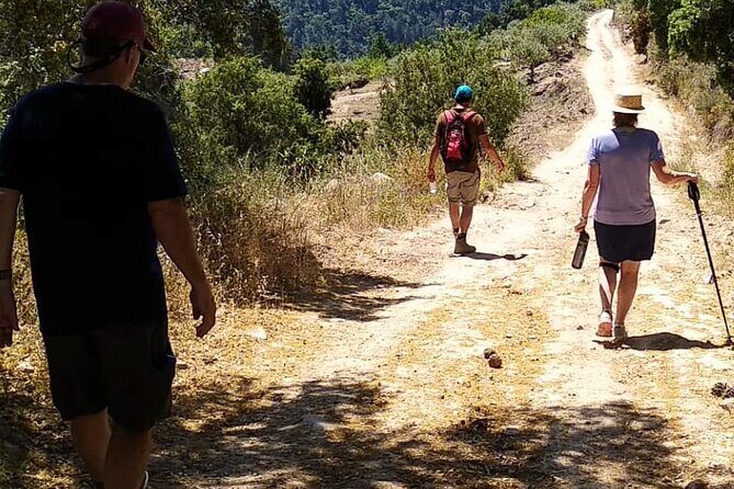 Private Douro and Porto 4x4 Tour with Wine Tasting and Boat Trip - Final Thoughts