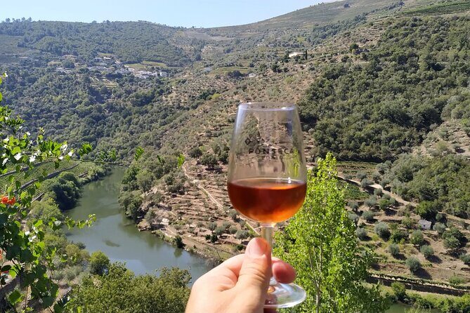 Private Douro Valley all inclusive: Tastings, Lunch & Boat - Who Should Consider This Tour?