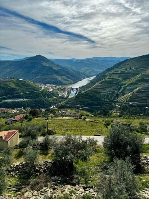 Private Douro Valley Full Day Tour - Why This Tour is a Great Choice