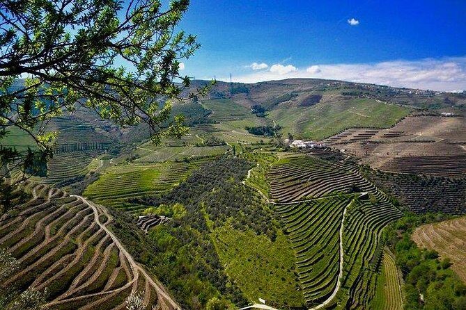 Private Douro Valley - Senses Experiences - A Deep Dive into the Douro Valley Private Tour