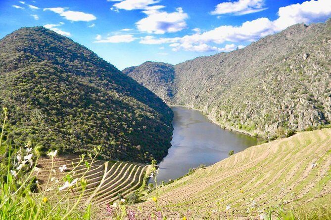 Private Douro Valley - Senses Experiences - Wrapping Up