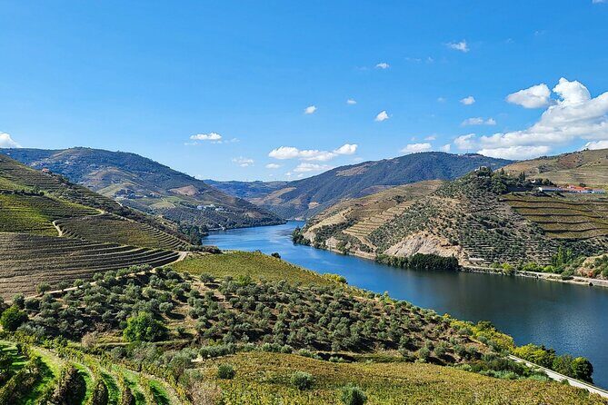 Private Douro Valley Tour (2 wineries + boat) - Discover the Douro Valley: A Personal Tour of Small Wineries and Scenic Views