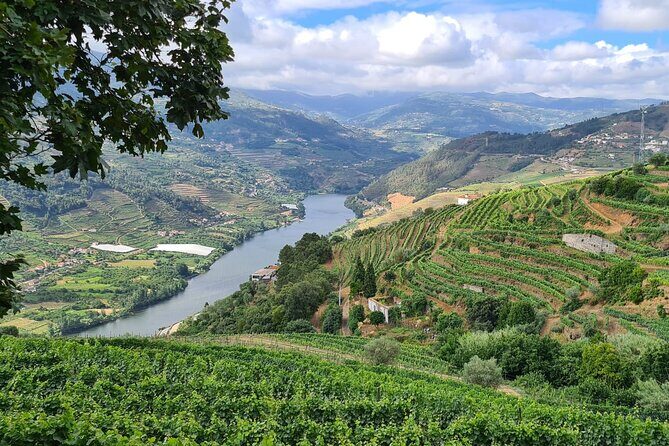 Private Douro Valley Tour (2 wineries + boat) - Key Points
