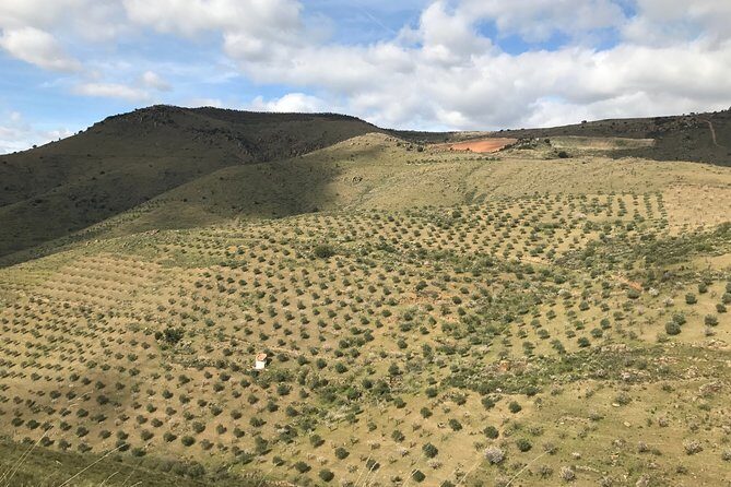Private Douro Valley Tour Includes Wine Tasting and Boat Tour - What real travelers say