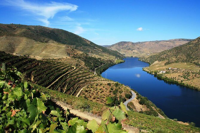 Private Douro Valley visit to three vineyards with Lunch from Porto - The Experience at a Glance