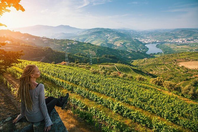 Private Douro Valley Wine Tour: 2 Wine Estates, Lunch and Cruise - The Value Proposition