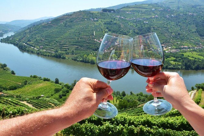 Private Douro Valley Wine Tour: 2 Wine Estates, Lunch and Cruise - Who This Tour Is Best For