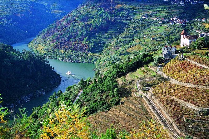 Private Douro Valley Wine Tour: 2 Wine Estates, Lunch and Cruise - Stop 2: the second winery with a guided run from vineyard to bottle