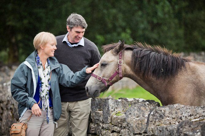 Private Driver - The Breakdown of the Experience