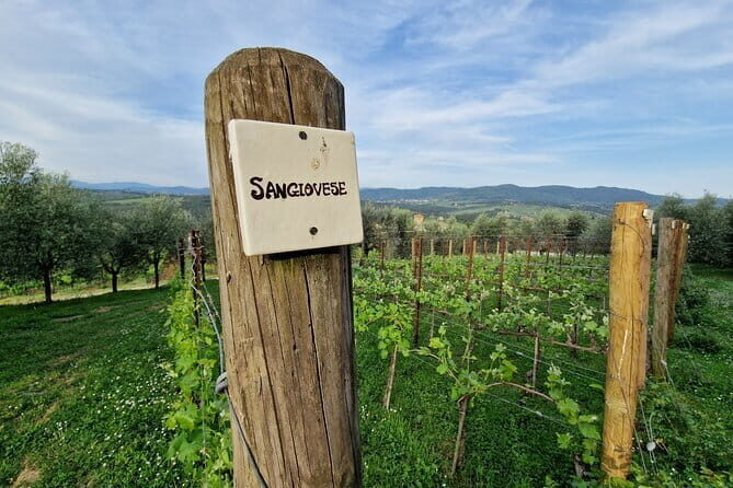 Private driver Florence Wine Tour countryside of Tuscany 7 hours - A Detailed Look at the Itinerary