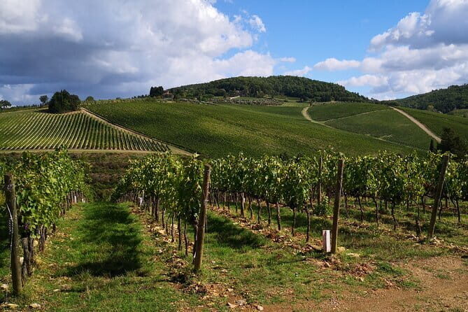 Private driver Florence Wine Tour countryside of Tuscany 7 hours - The Bottom Line