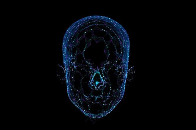 Private Driver to roam the island of Malta - Diving Into the Details: What You Can Expect