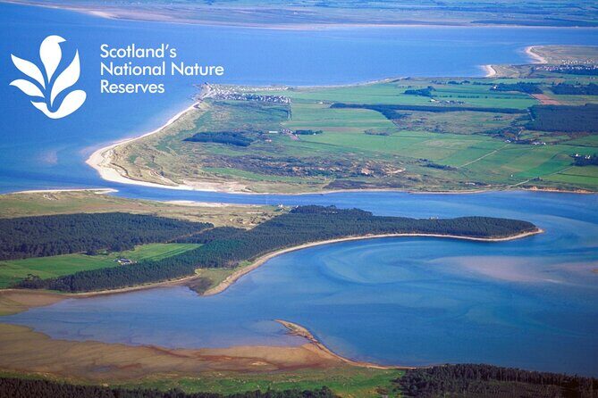 Private Driving tour from Invergordon Port to Dunrobin Castle - Key Points