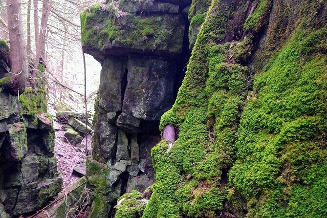 Private Duncan/Metcalfe Caves Hike, Collingwood/Blue Mountain - Post-Hike Options