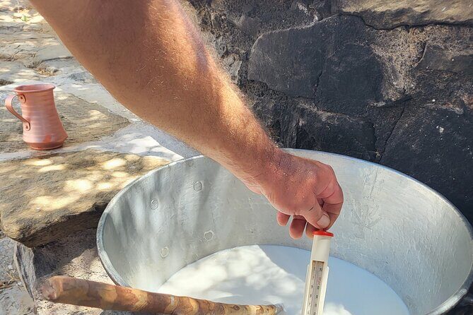 Private E-bike Guided Ode-yssey Uncharted Tour in Naxos - Final Thoughts