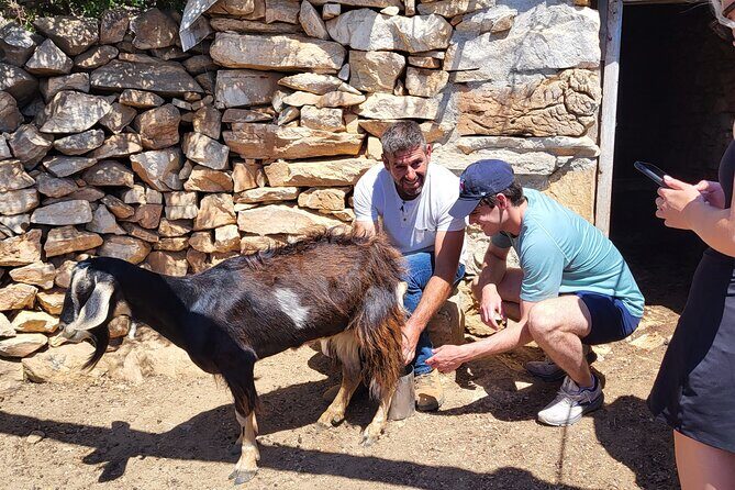 Private E-bike Guided Ode-yssey Uncharted Tour in Naxos - FAQ