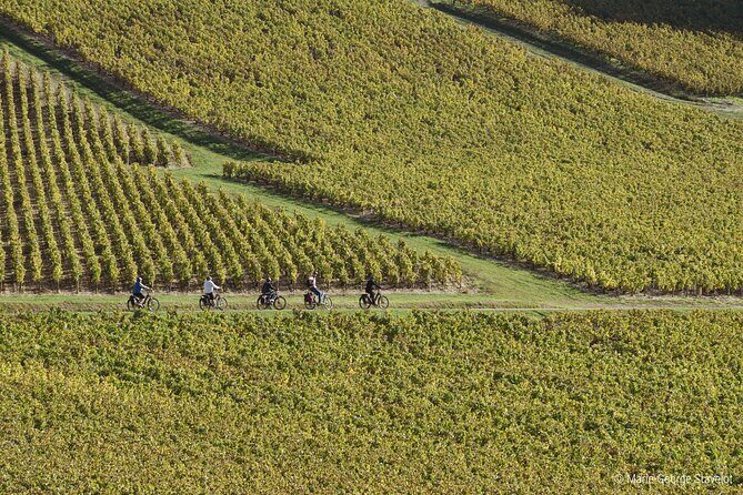 Private e-bike tour with a guide in the Vineyards of Chablis - Frequently Asked Questions