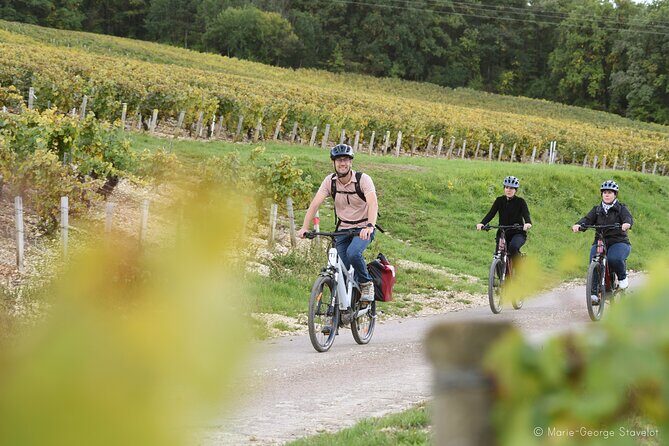 Private e-bike tour with a guide in the Vineyards of Chablis - Wrapping It Up