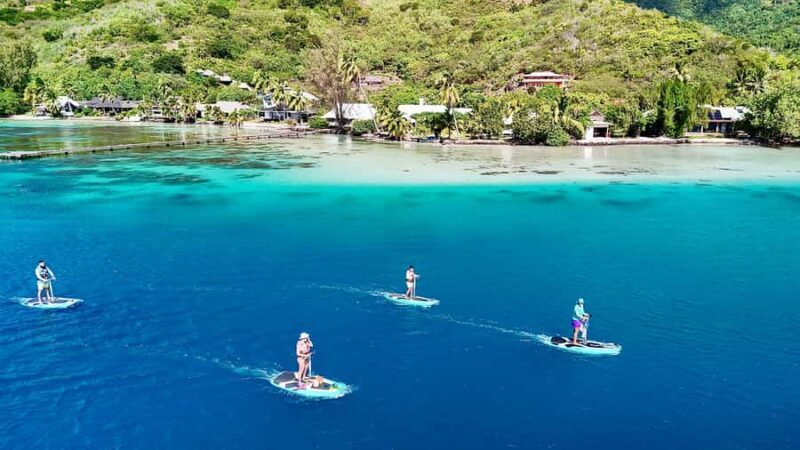 Private E-Board Tour of Moorea Lagoon - Who Should Consider This Tour?