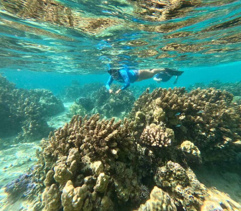 Private E-Board Tour of Moorea Lagoon - The Drawbacks