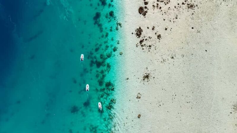 Private E-Board Tour of Moorea Lagoon - Final Thoughts