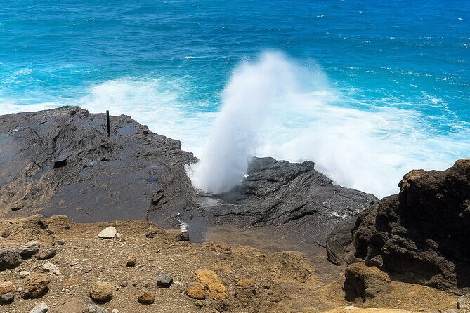 Private East Oahu Highlights Tour Byodo In Temple & Pali Lookout - A Closer Look at the Itinerary