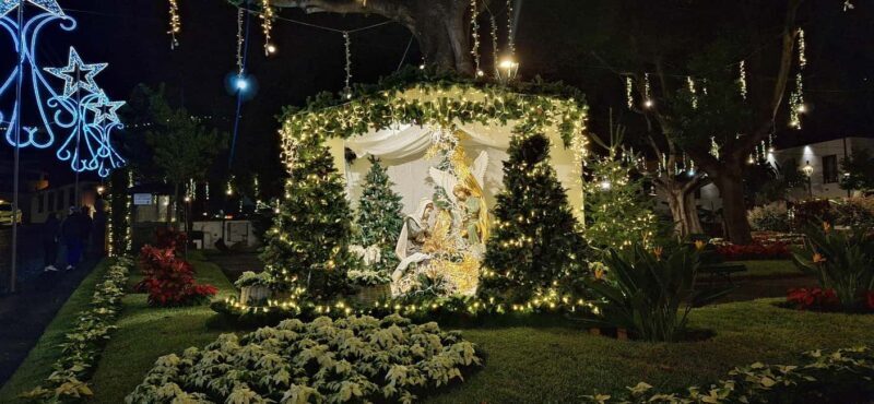 Private East of Madeira Christmas Lights Tour - Why This Tour Works Well
