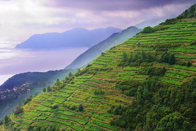 Private EASY Cinque Terre & Pisa Accessible Tour from Livorno - Final Thoughts