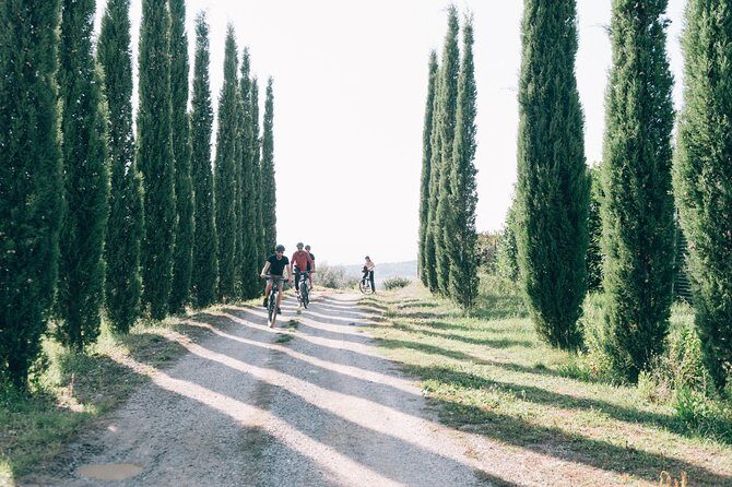 Private Ebike Tour in Chianti - Is It Worth the Price?