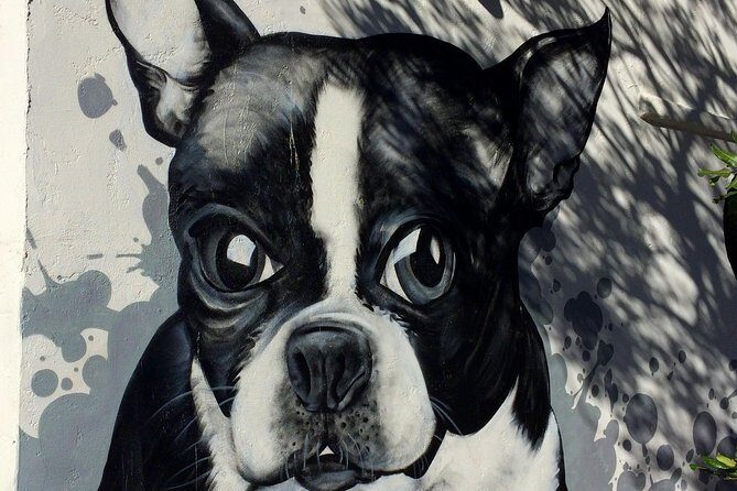 Private EBike Tour of Santa Monica and Venice Beaches - What’s the Overall Value?