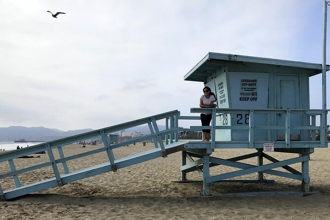 Private EBike Tour of Santa Monica and Venice Beaches - Who Is This Tour Best Suited For?