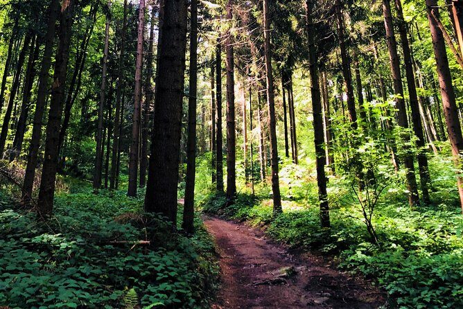 Private eclectic hiking experience of Samobor Hills - Is This Tour Worth It?