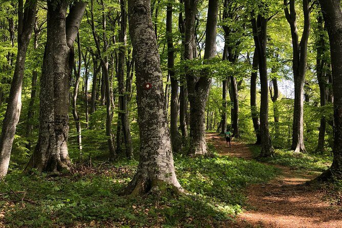 Private eclectic hiking experience of Samobor Hills - FAQ