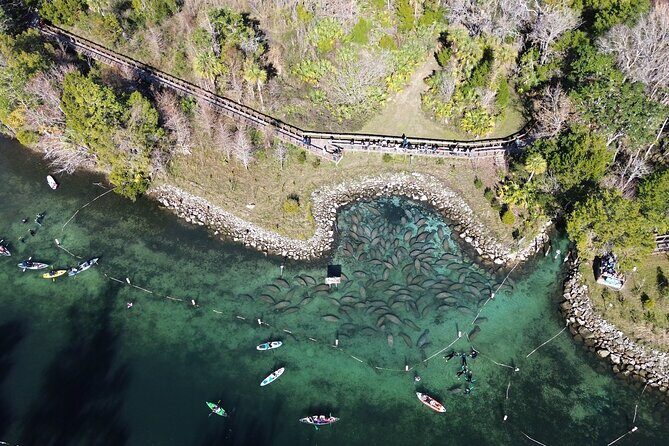 Private Eco Tour in Kings Bay Crystal River Florida - Who Would Enjoy This Tour?
