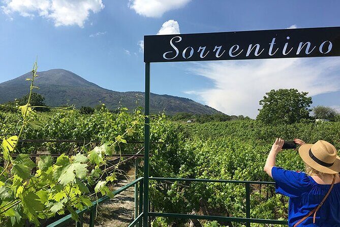 Private Educational Wine Tour, dedicated sommelier and trasport - Key Points