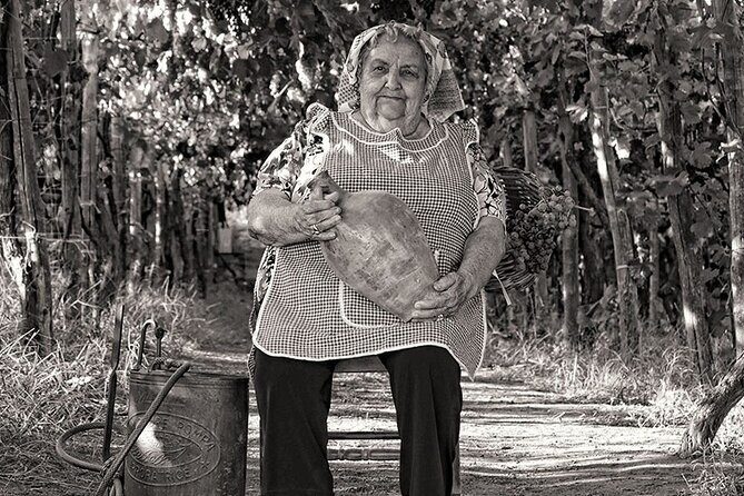 Private Educational Wine Tour, dedicated sommelier and trasport - Transportation and Duration