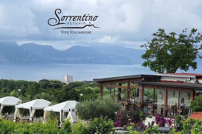 Private Educational Wine Tour, dedicated sommelier and trasport - The Cost and Value