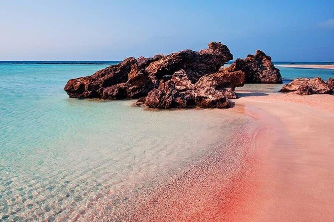 Private Elafonisi Tour from Chania - Authentic Testimonials