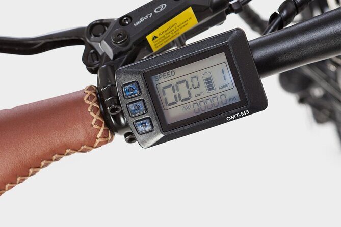 Private Electric Bike Tour through the City of Madrid - An In-Depth Look at the Madrid Electric Bike Tour