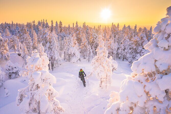 Private Electric Fat Bike Winter Tour in Rovaniemi - What to Expect from the Tour